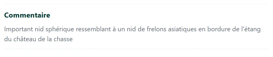 Commentaire du signalement nid de frelon
