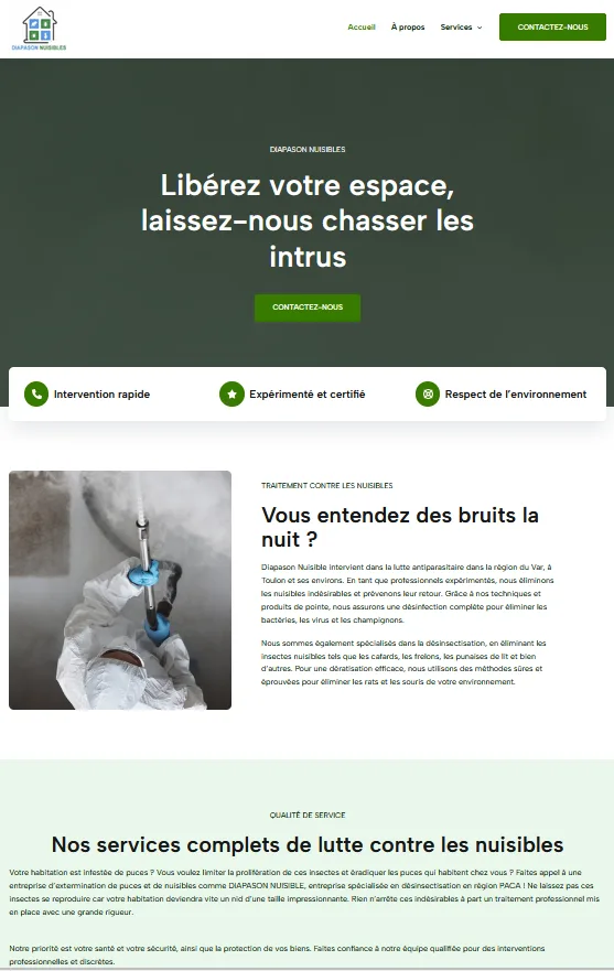 Intervention de d&eacute;sinsectisation contre un nid de frelon asiatique par un professionnel