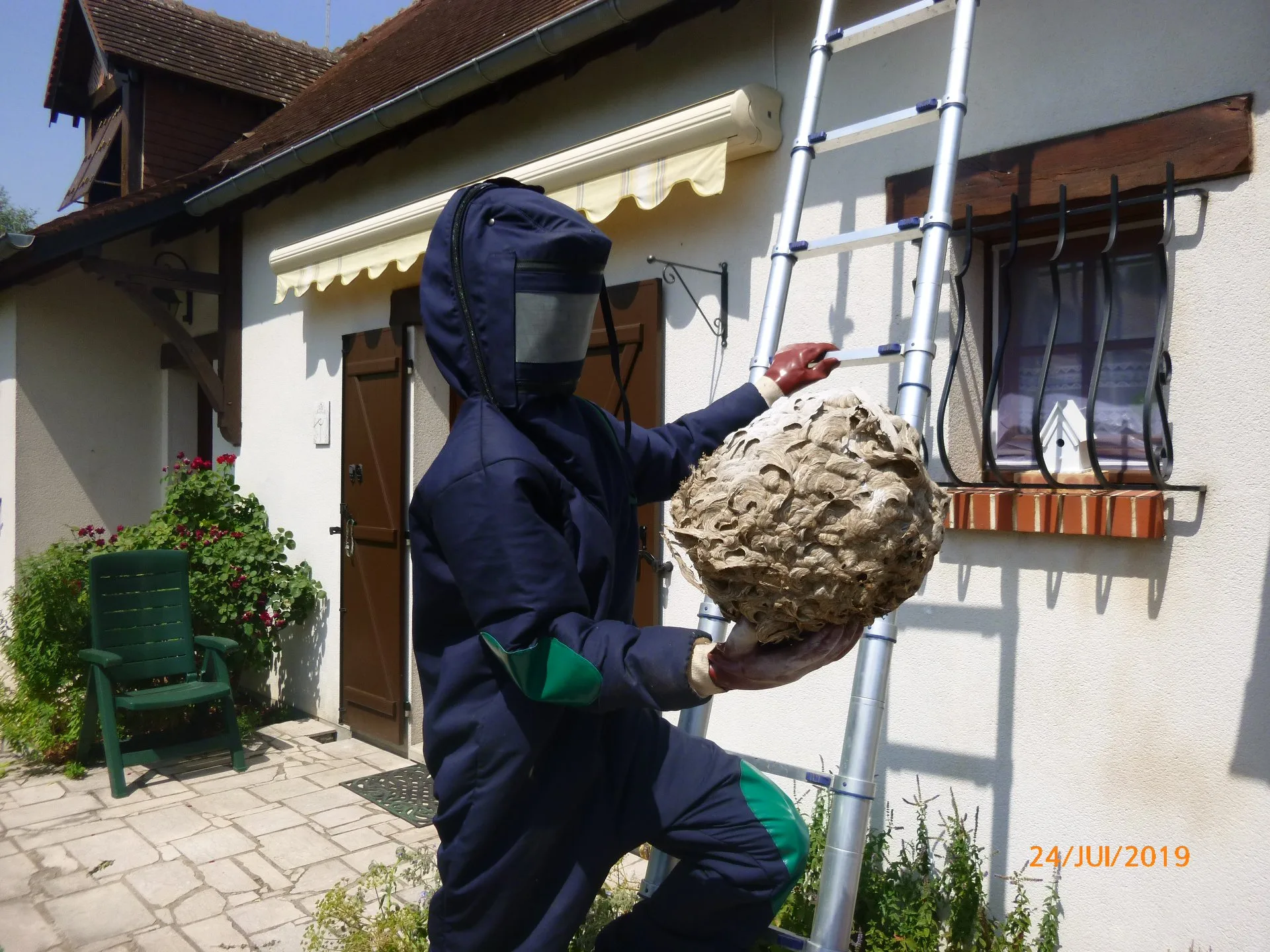 Destruct’ Insectes : une solution professionnelle contre les nuisibles