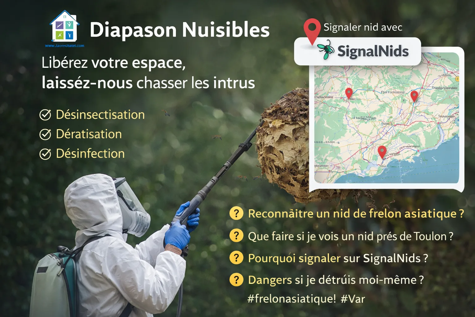 Diapason Nuisibles (Var) : nid de frelon asiatique, désinsectisation et signalement sur SignalNids