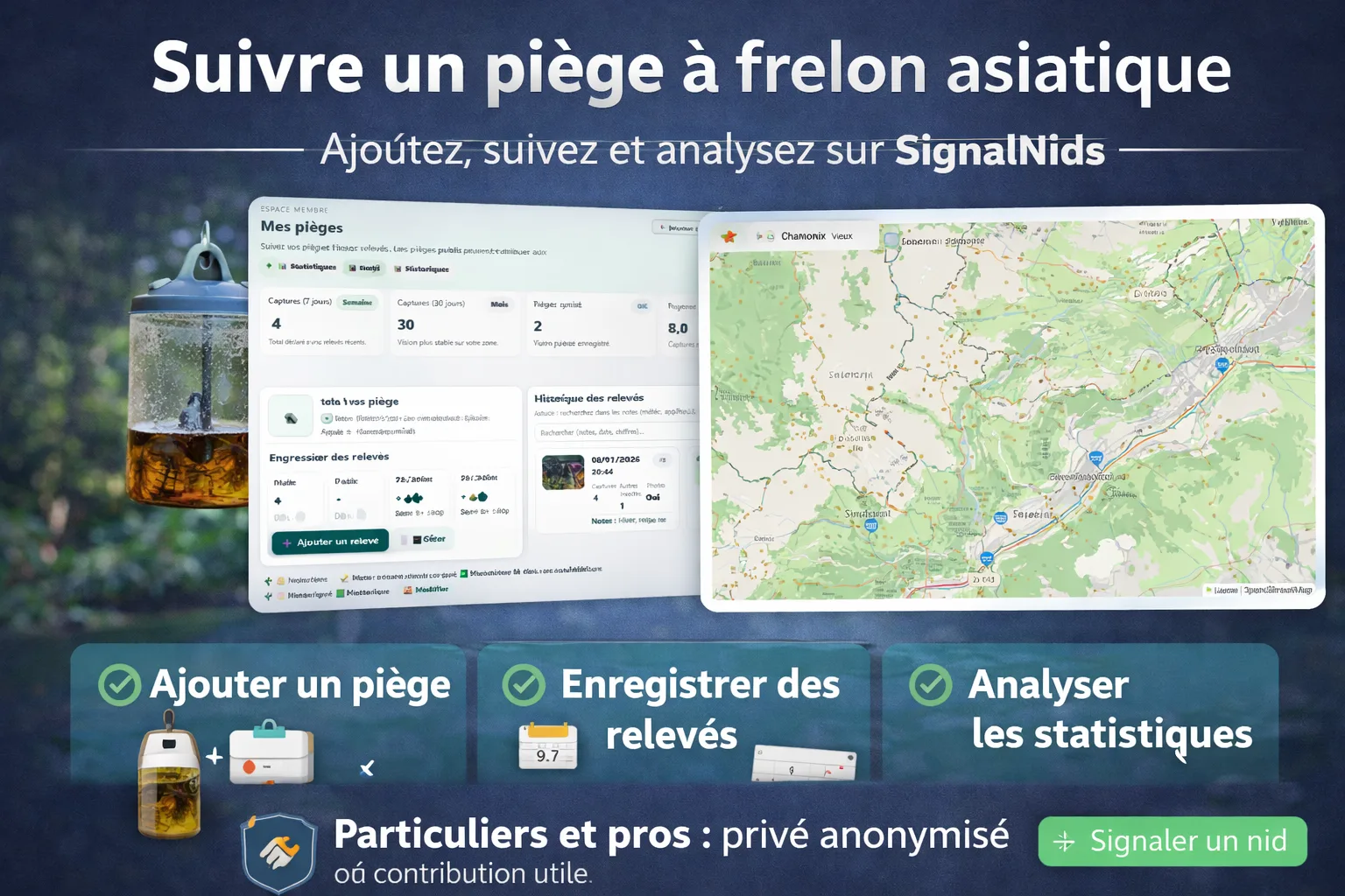 Suivre un piège à frelon asiatique : guide complet (relevés, statistiques) avec SignalNids