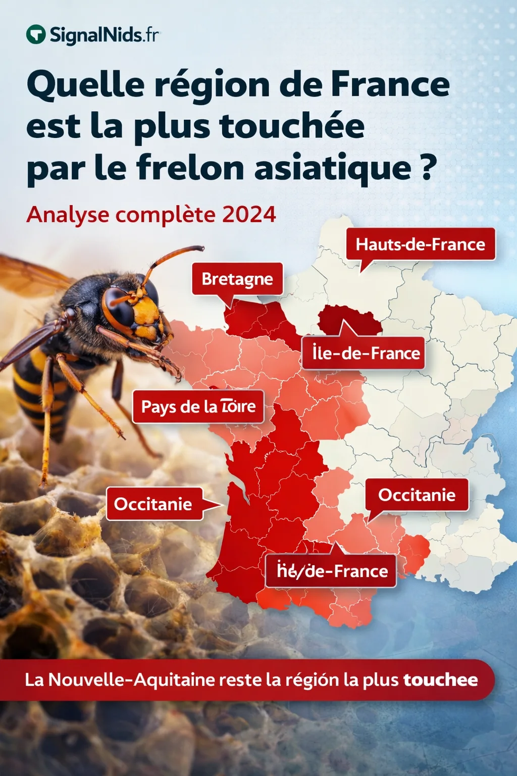 Quelle région de France est la plus touchée par le frelon asiatique ? Analyse complète 2026