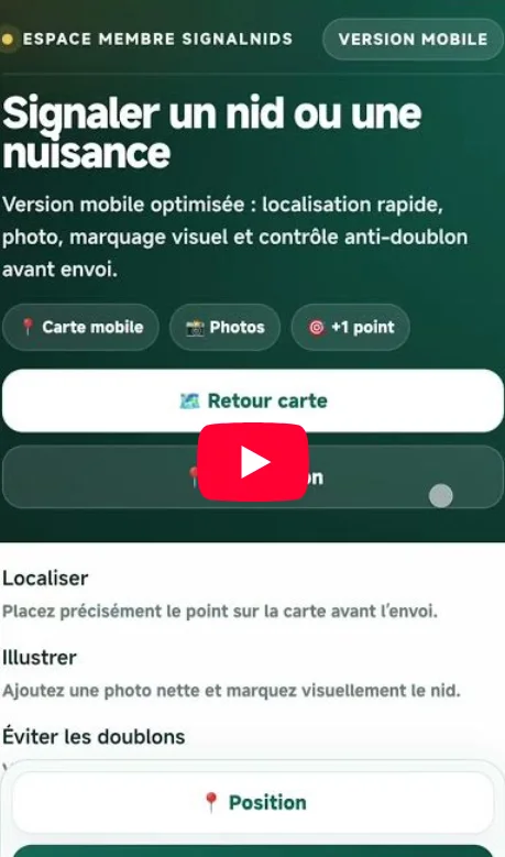 D&eacute;clarer un nid de frelons asiatiques sur signalNids