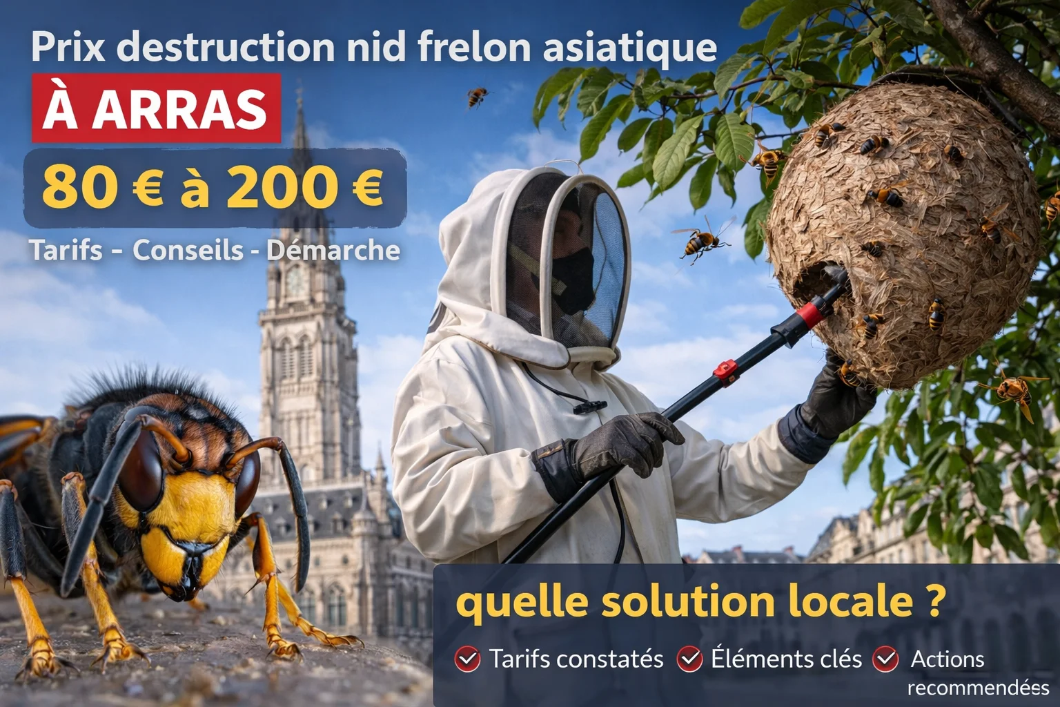 Prix destruction nid frelon asiatique à Arras : tarifs, conseils et solutions