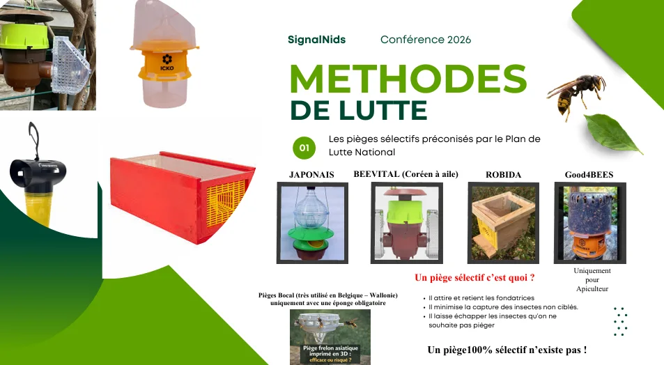 Infographie pr&eacute;sentant les m&eacute;thodes de lutte contre le frelon asiatique avec diff&eacute;rents pi&egrave;ges s&eacute;lectifs et des conseils pour limiter les captures d&rsquo;insectes non cibl&eacute;s