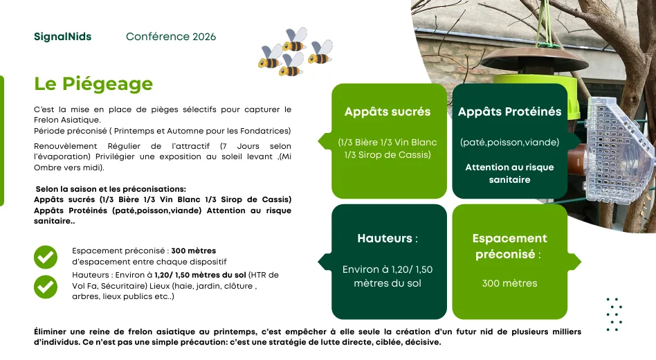 Infographie expliquant le pi&eacute;geage du frelon asiatique avec les p&eacute;riodes recommand&eacute;es, les app&acirc;ts sucr&eacute;s ou prot&eacute;in&eacute;s, la hauteur d&rsquo;installation et l&rsquo;espacement conseill&eacute; entre les pi&egrave;ges