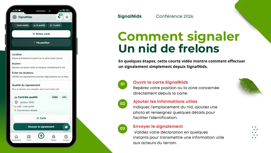 Infographie expliquant comment signaler un nid de frelons asiatiques sur SignalNids en ouvrant la carte, ajoutant une photo et envoyant le signalement