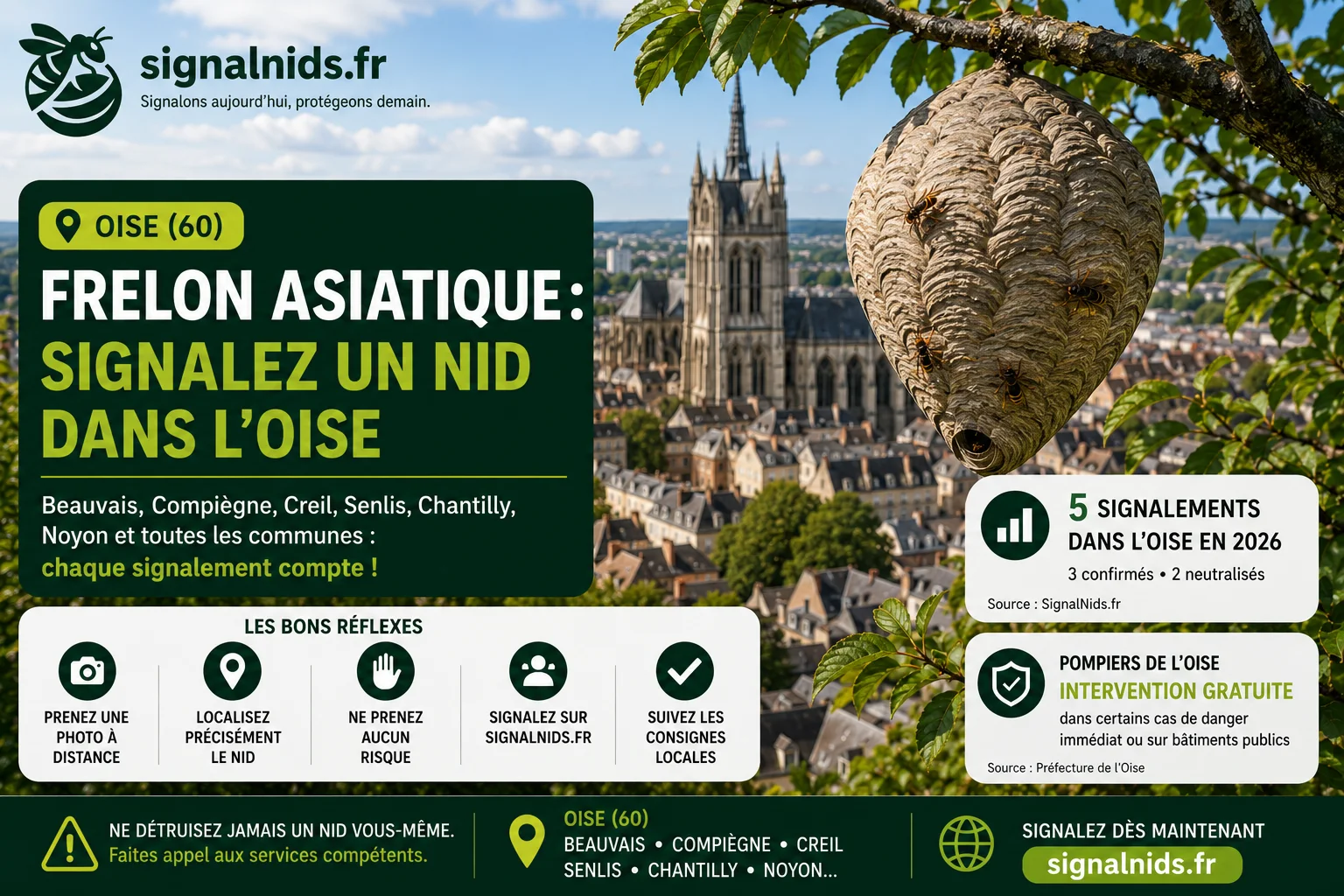 Frelon asiatique Oise (60) : signaler un nid et qui appeler ?