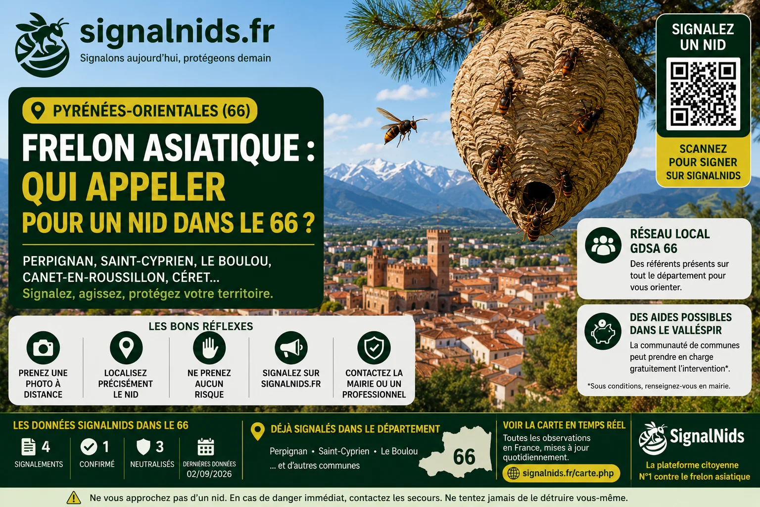 Frelon asiatique Pyrénées-Orientales : qui appeler pour un nid ?