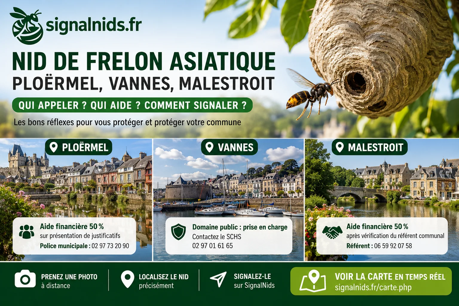 Nid de frelon à Ploërmel, Vannes et Malestroit : qui appeler ?