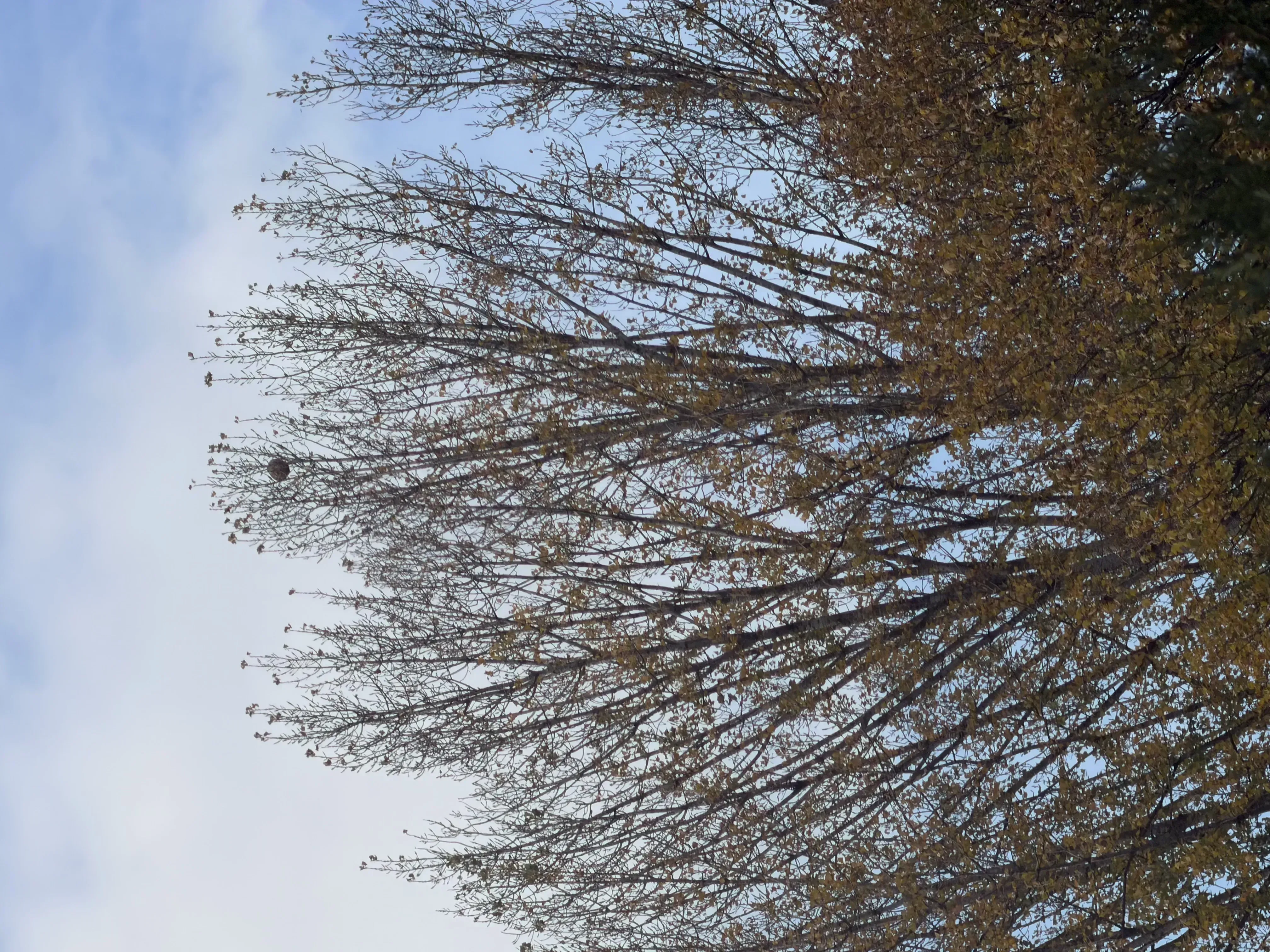 Photo partagée par Delfantilou01.