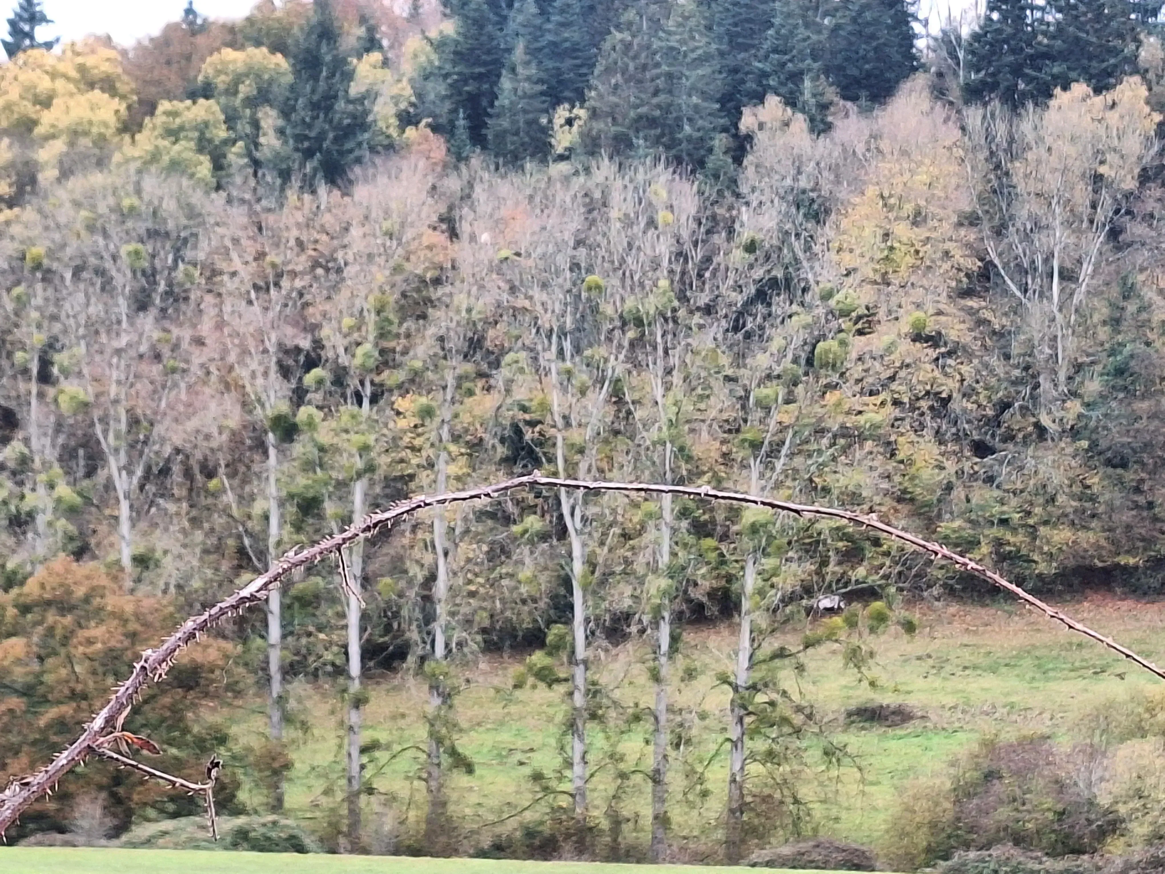 Photo partagée par sabrina