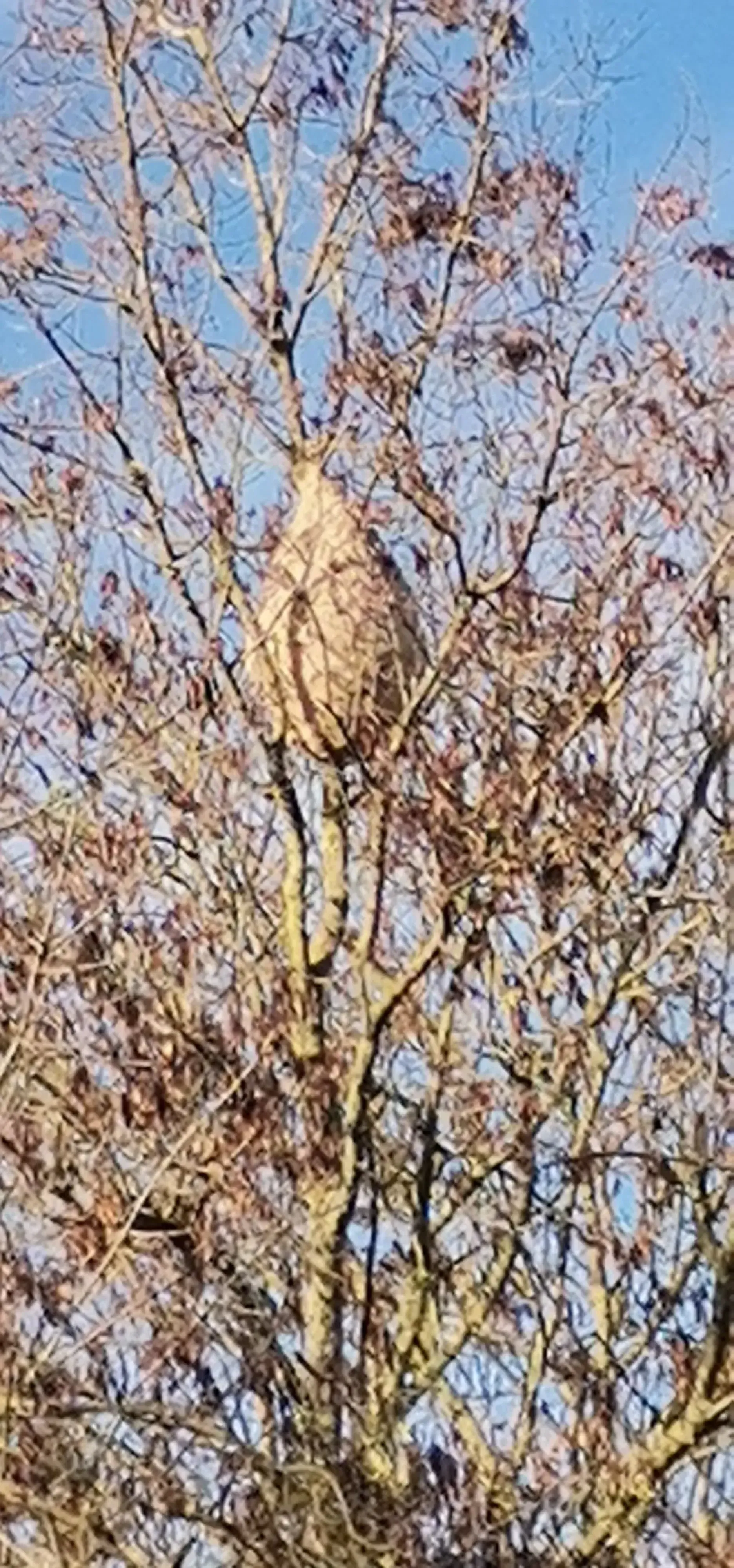 Photo partagée par Bob