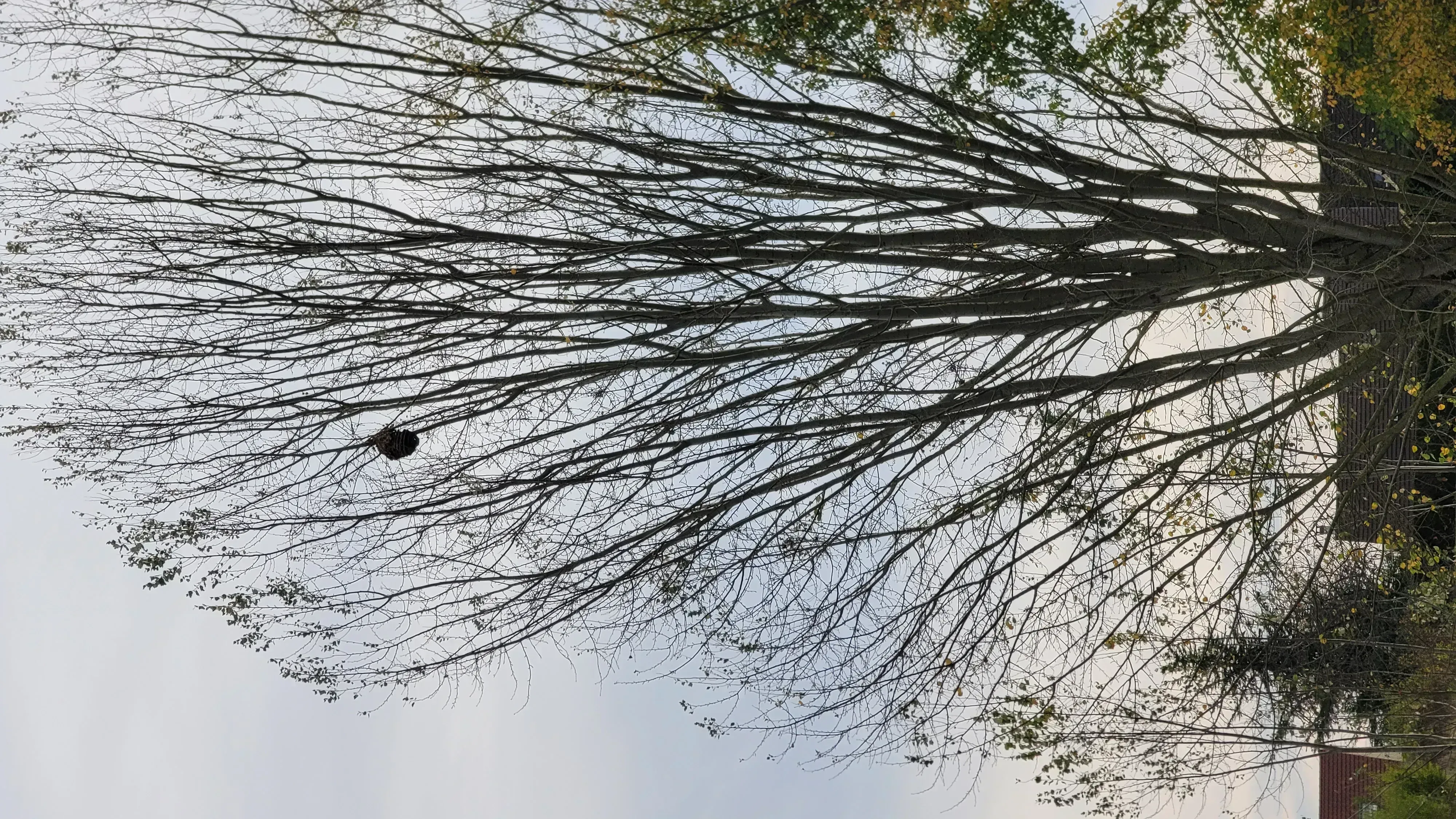 Photo partagée par Dc77