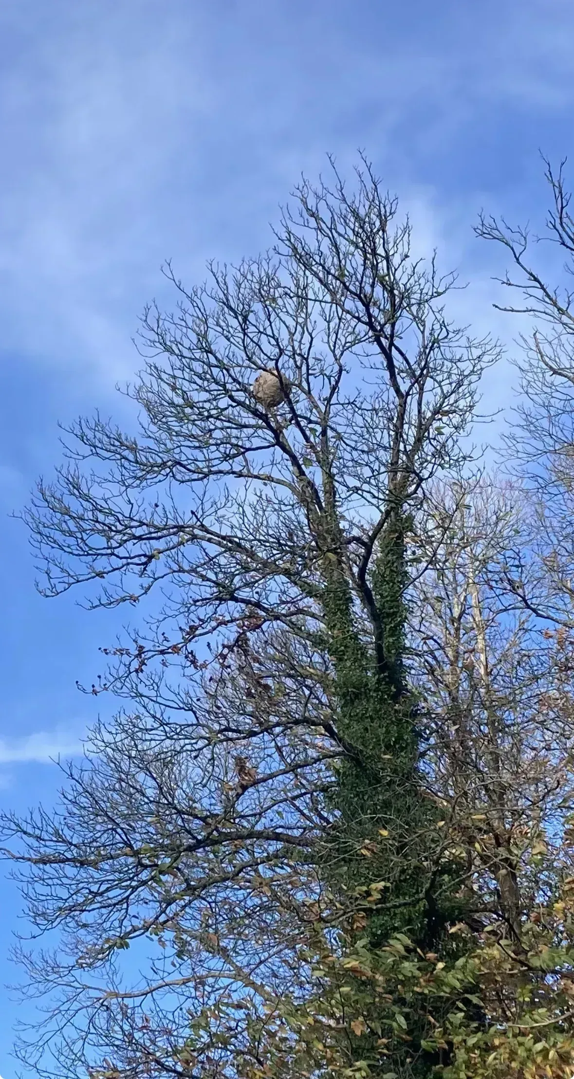 Photo partagée par BLC