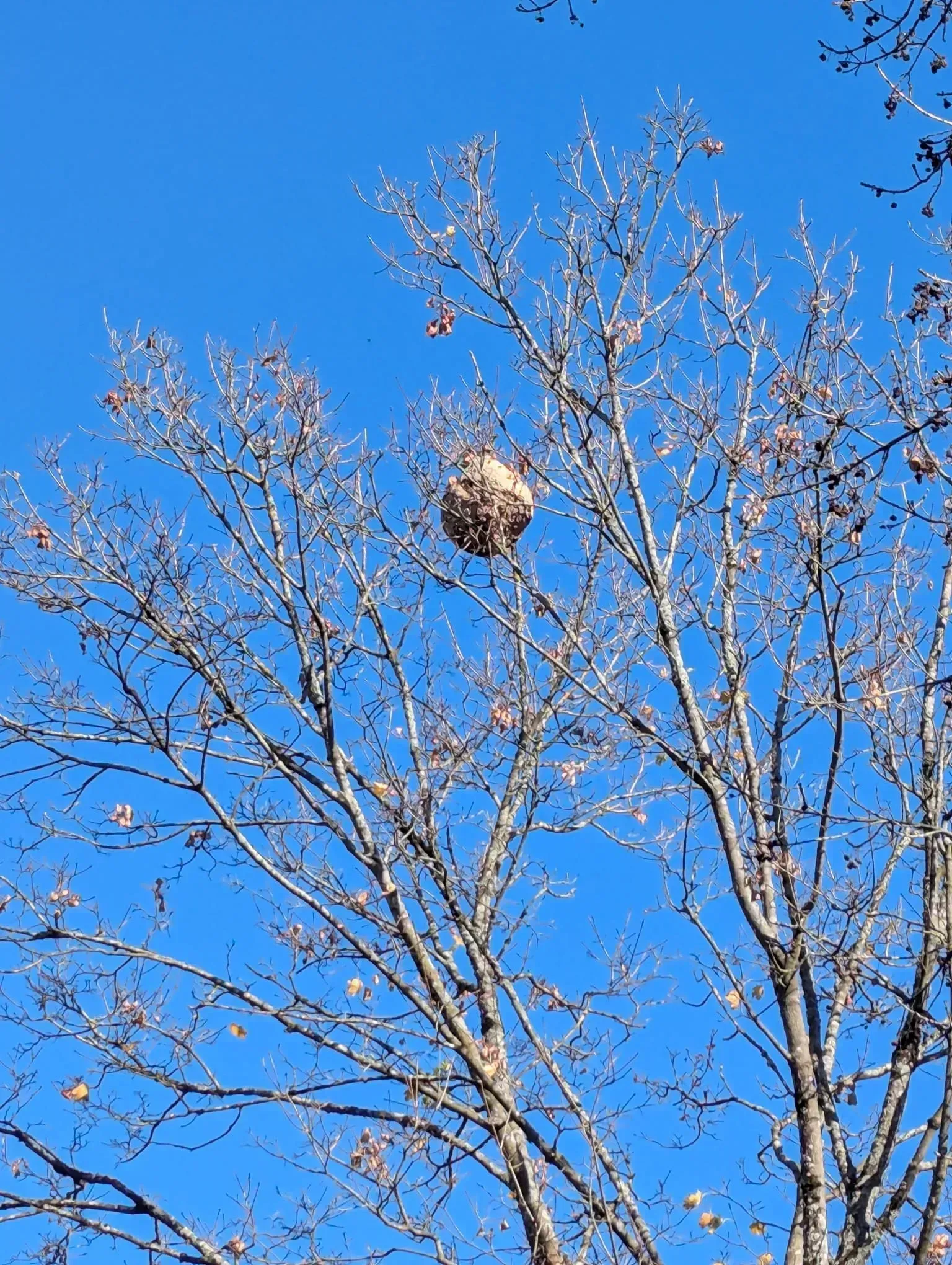 Photo partagée par Rousseau