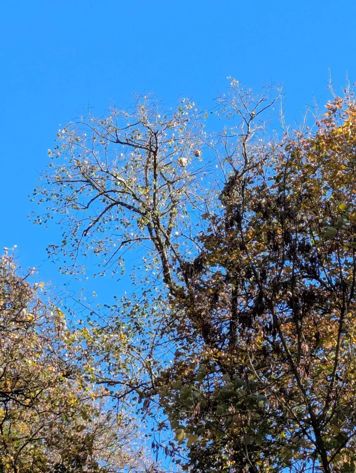 Photo partagée par Rousseau