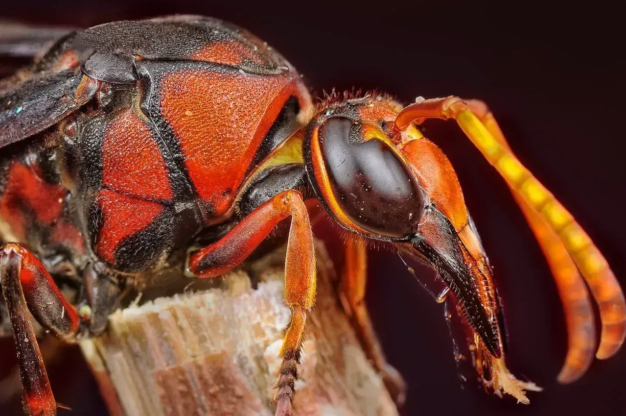 Photo partagée par xavier