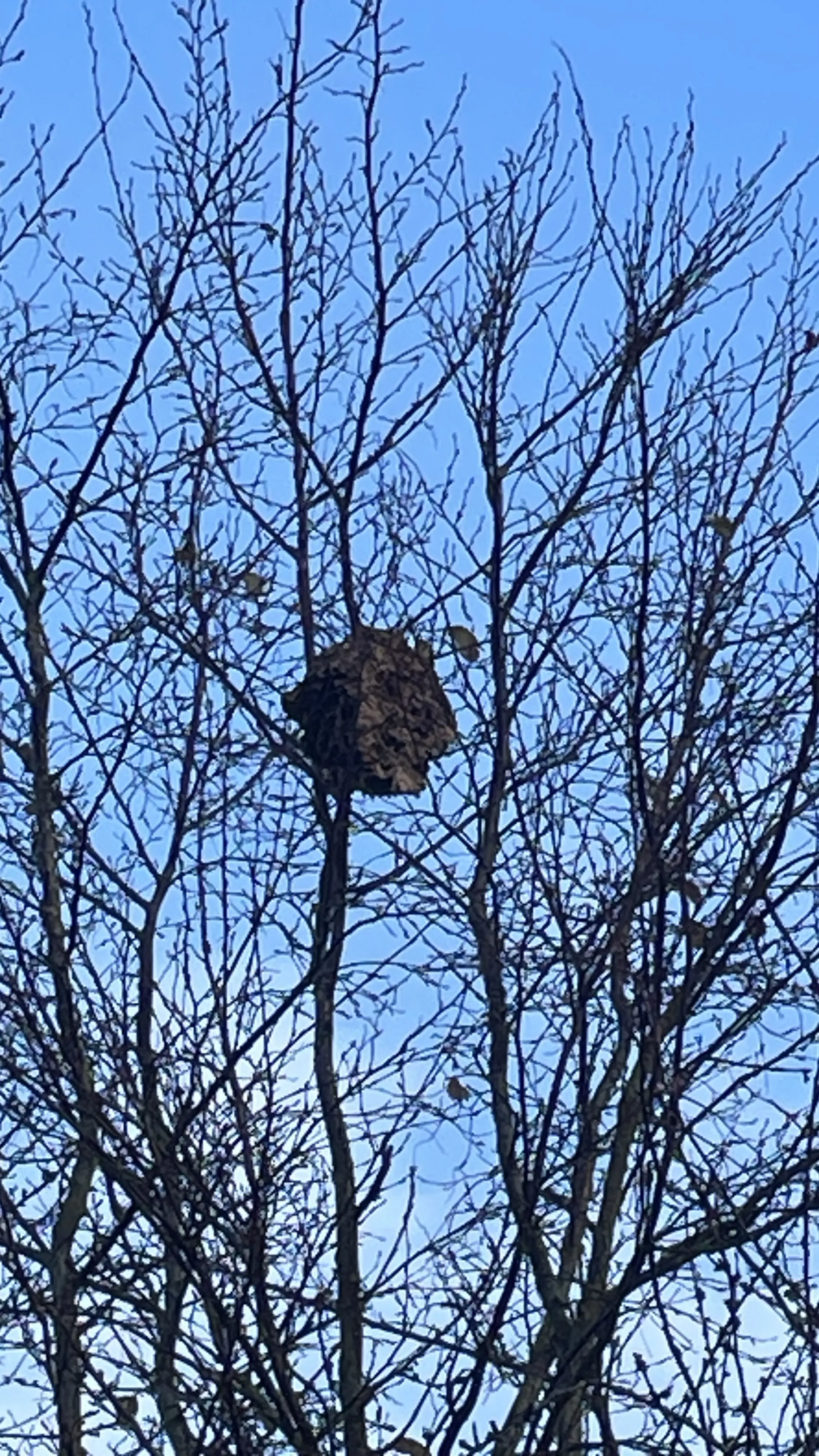 Photo partagée par Christine