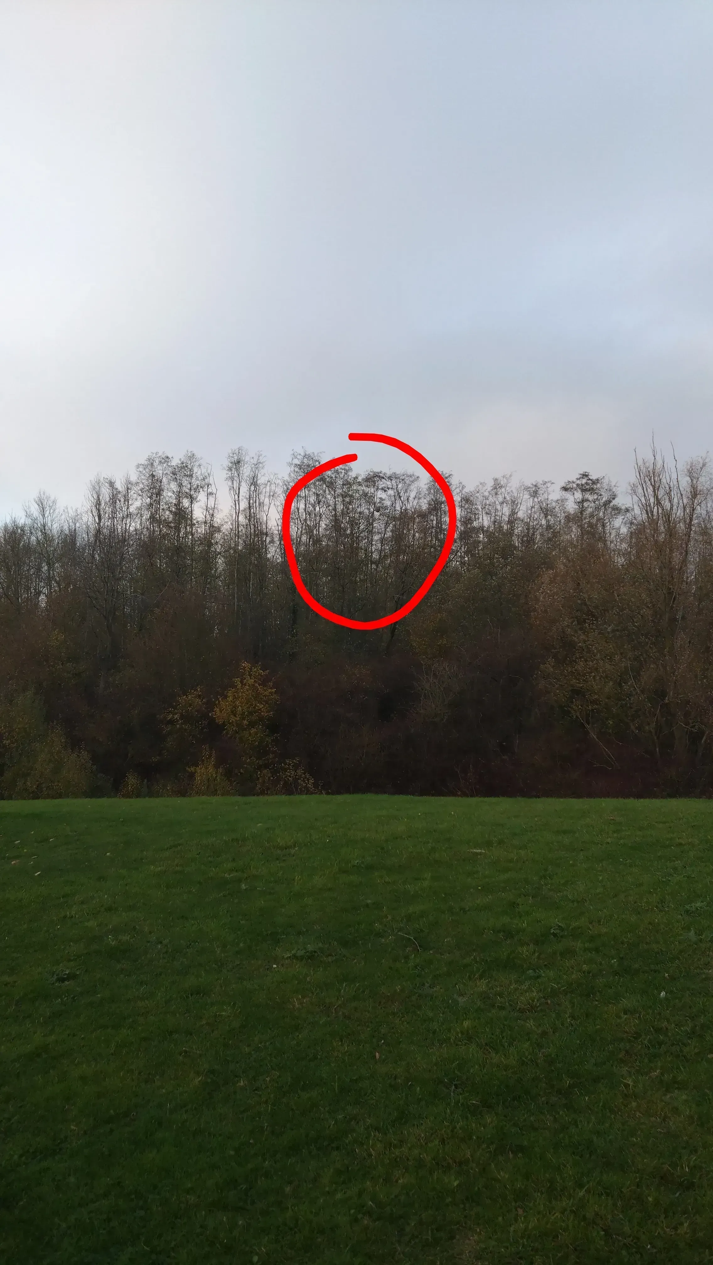 Photo partagée par françois “fanje”