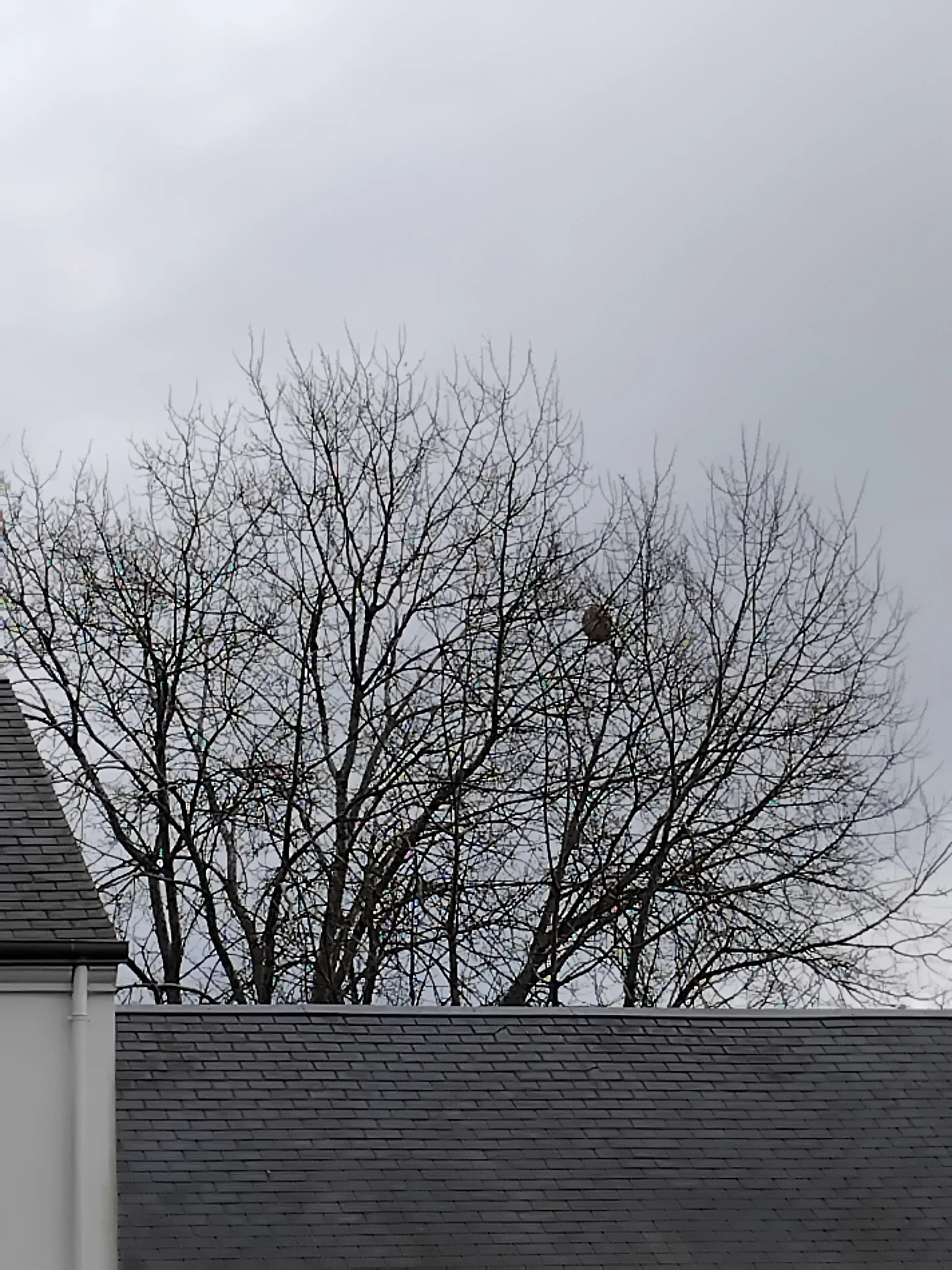 Photo partagée par Pscl45