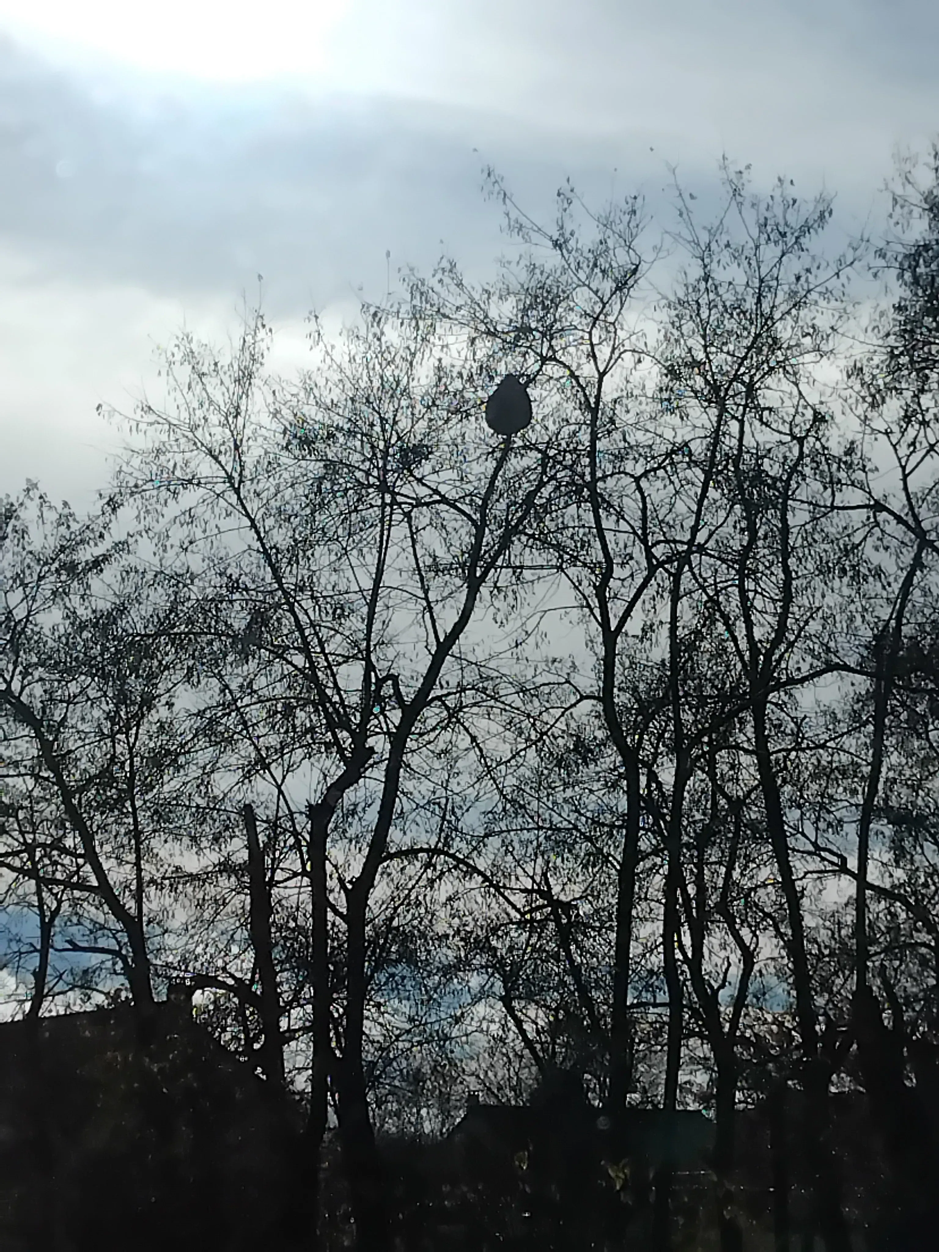 Photo partagée par Pscl45