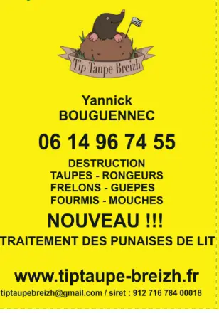 Tip taupe Breizh