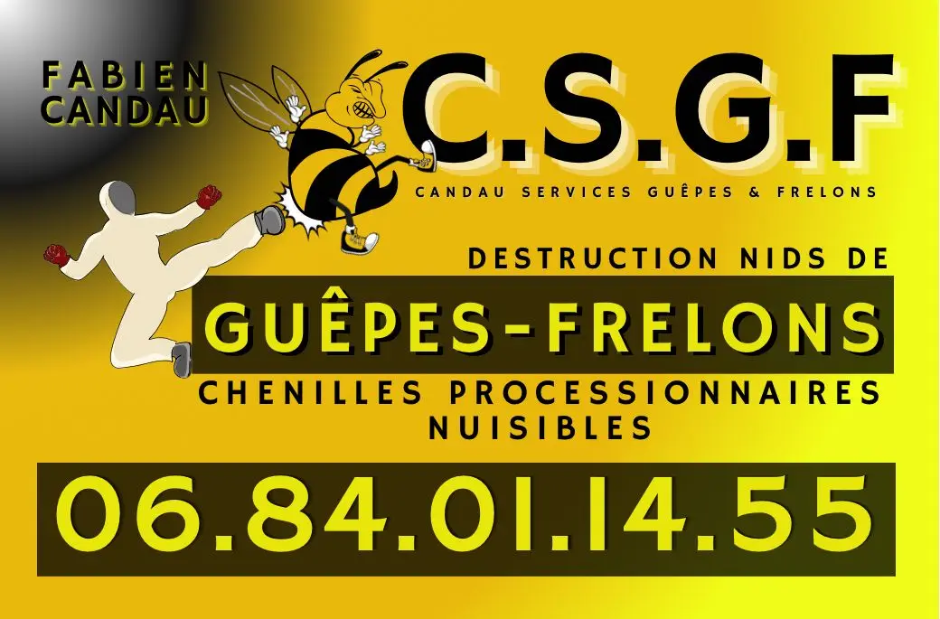 Candau Services Guêpes et Frelons CSGF