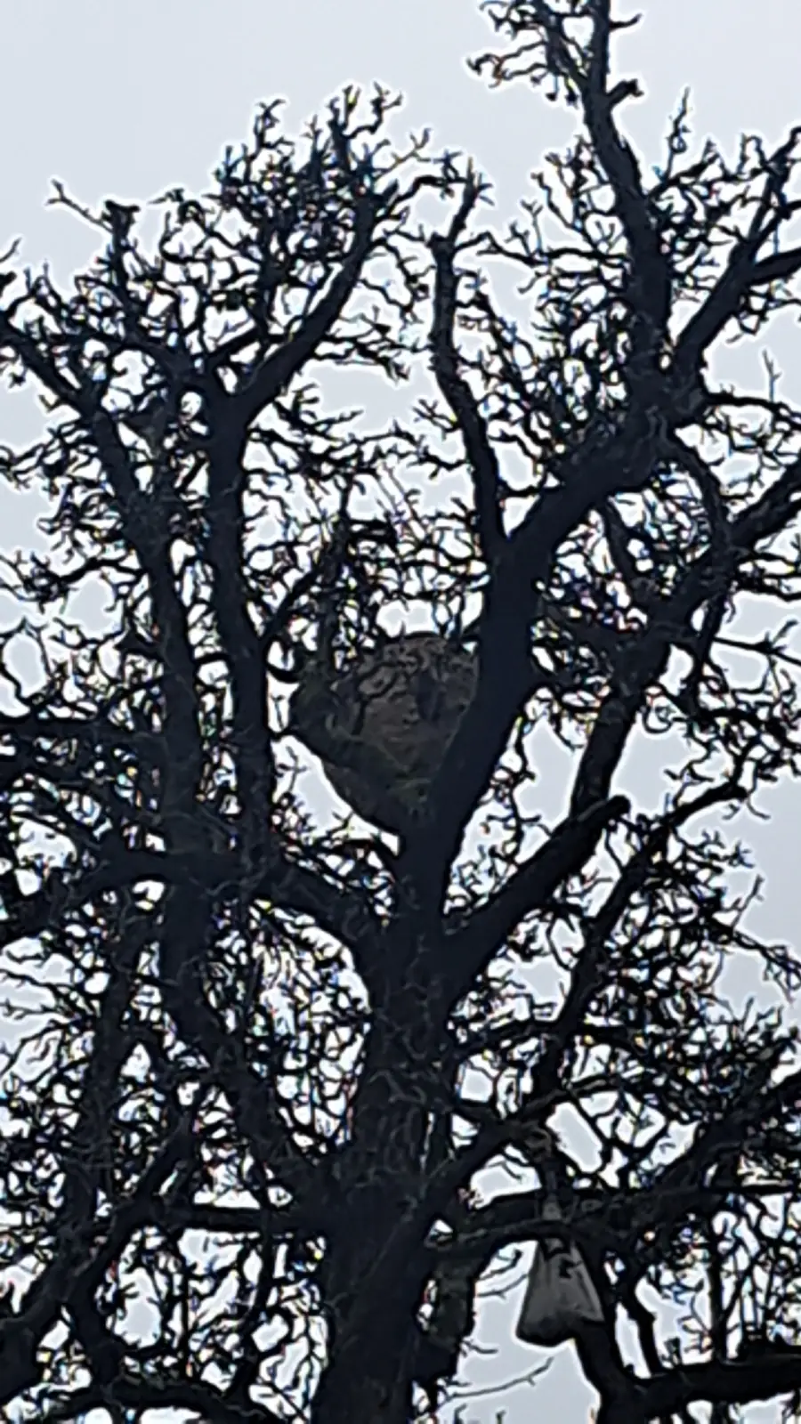 Sérénité et Confort