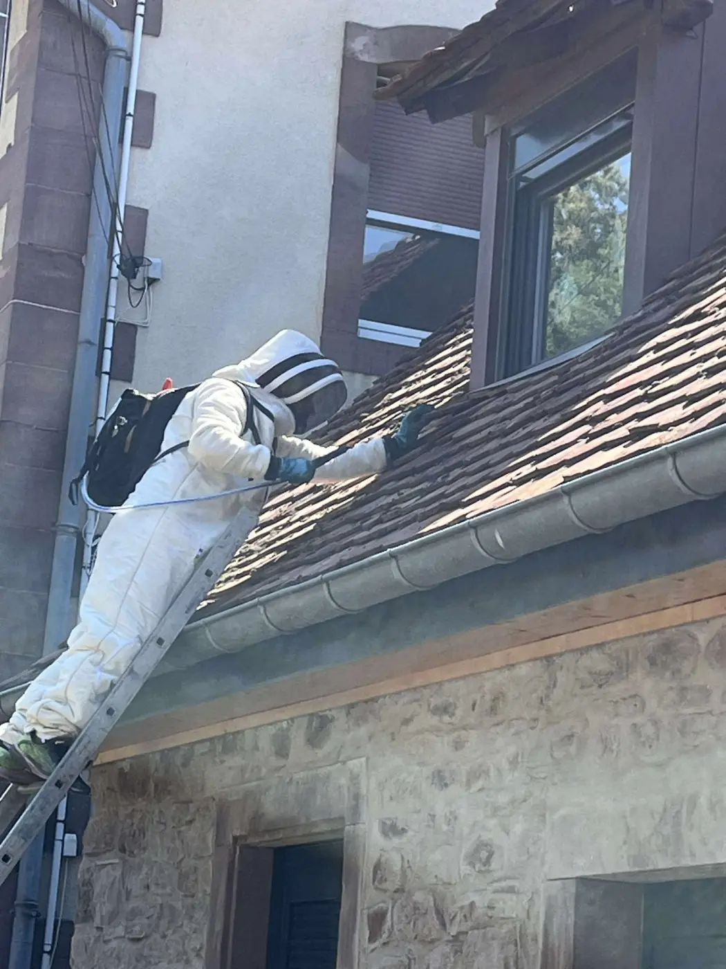 Fabien H.Solutions anti-Guêpes & Frelons