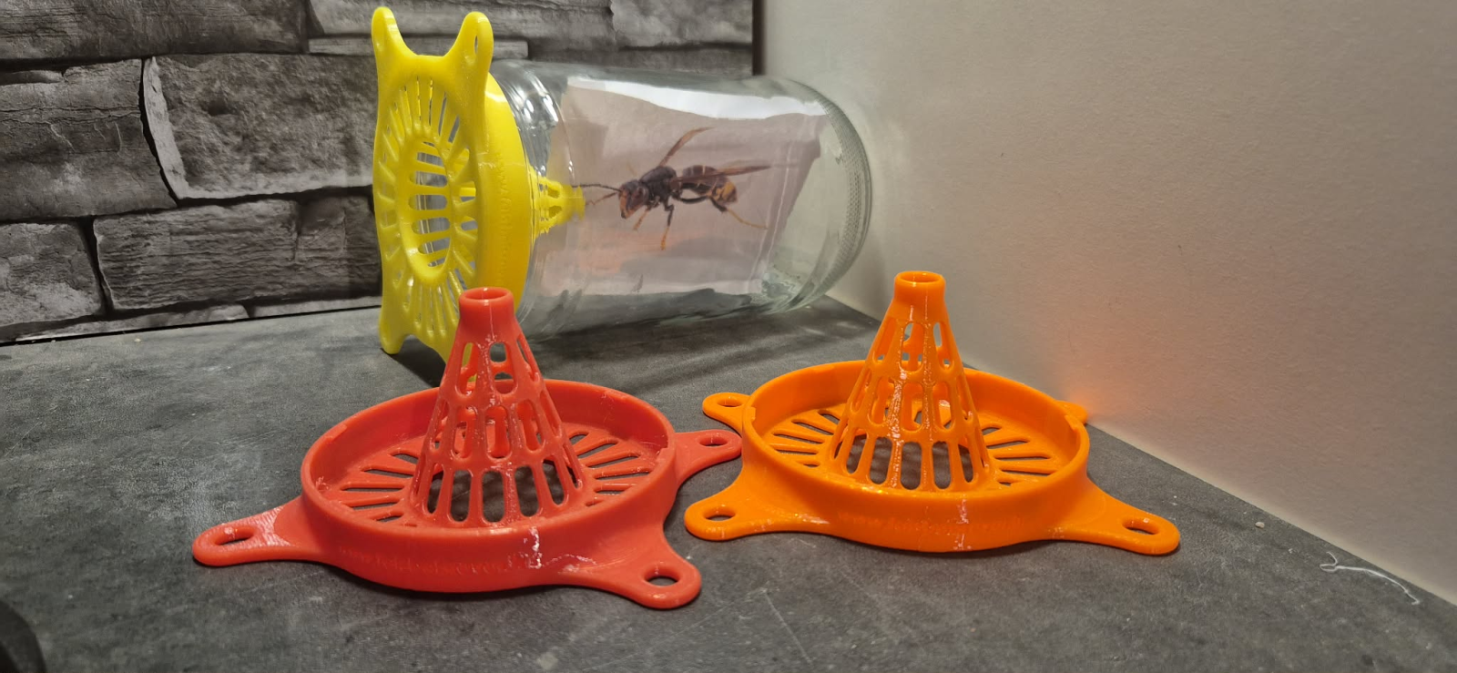 Fais Bois Rêver — intervention