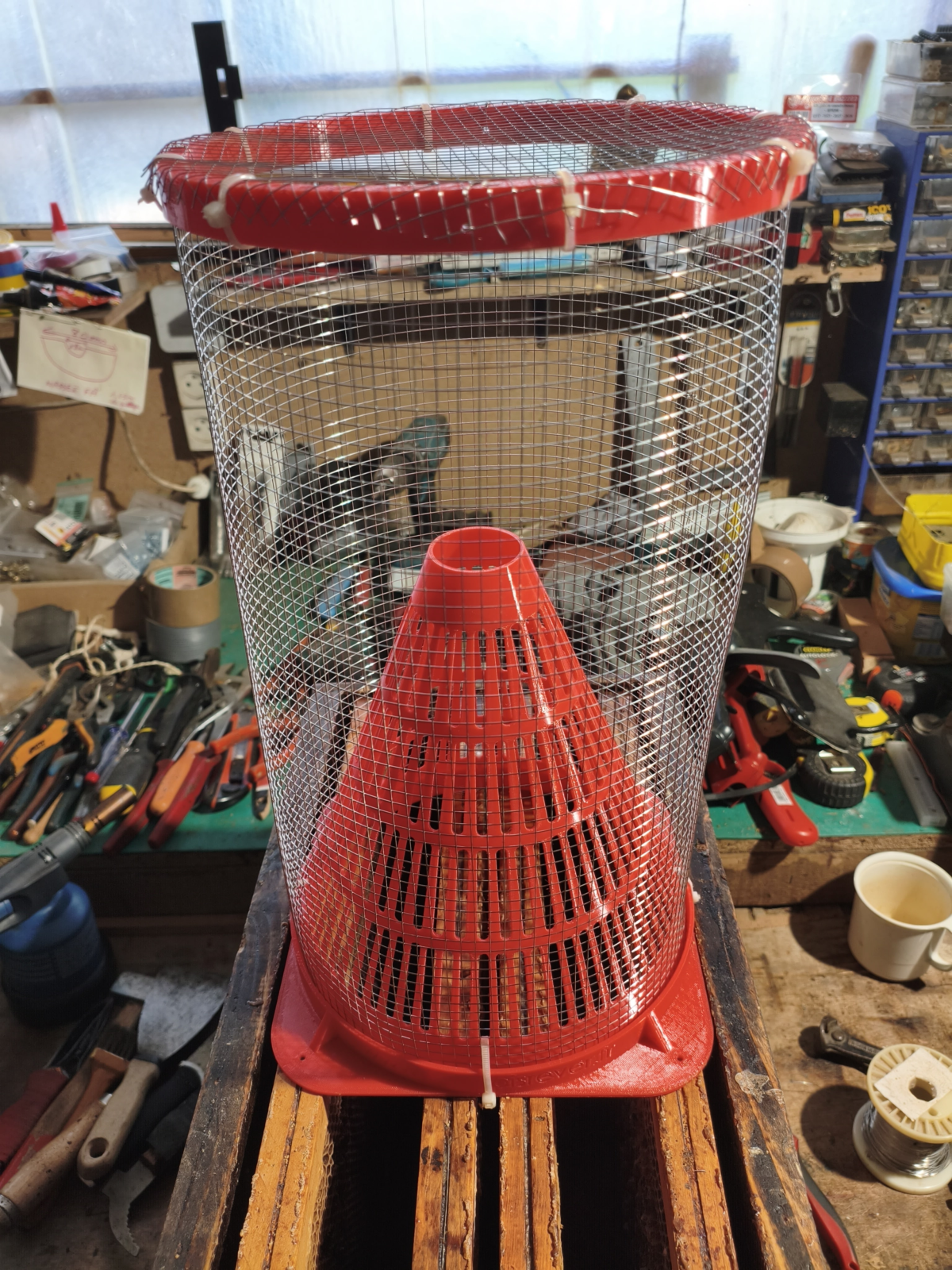 Fais Bois Rêver — intervention