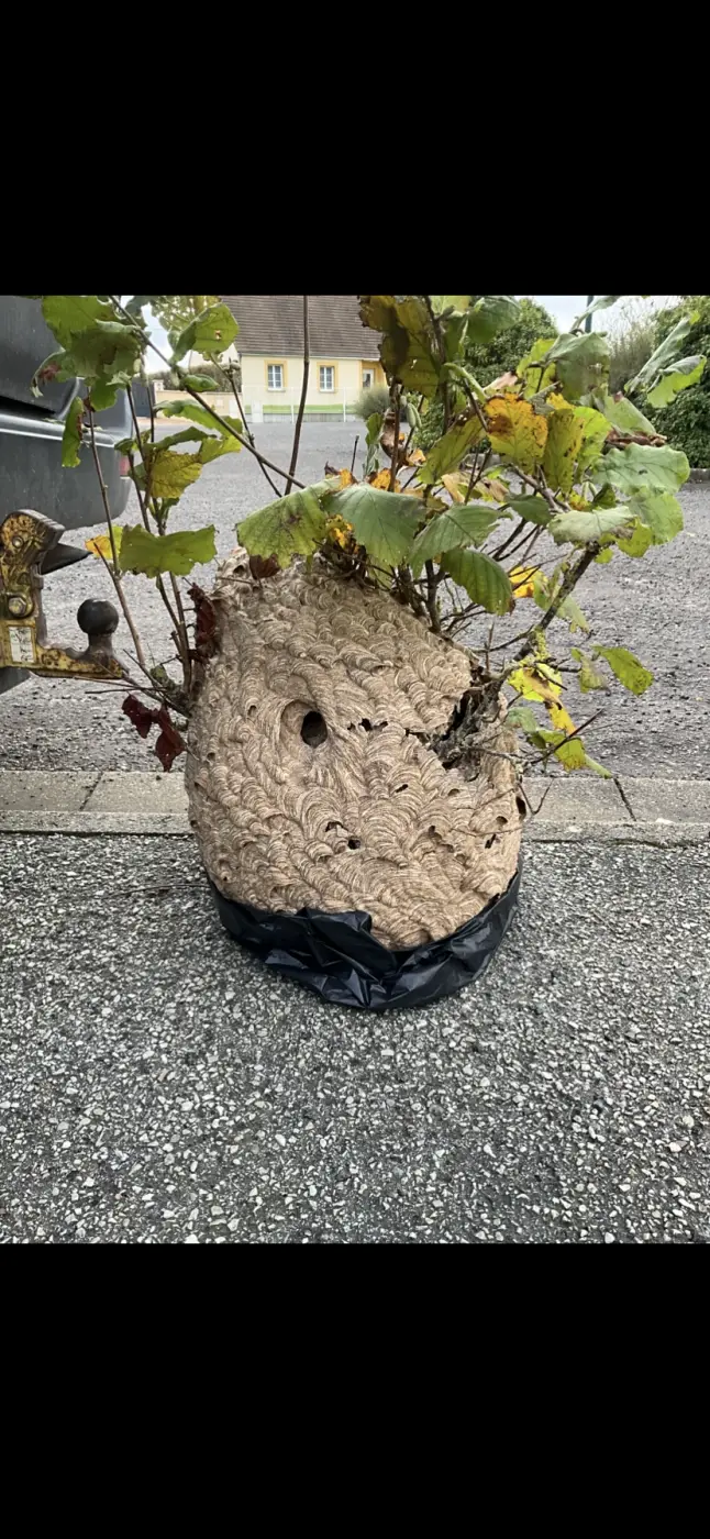 Drones.Environnement