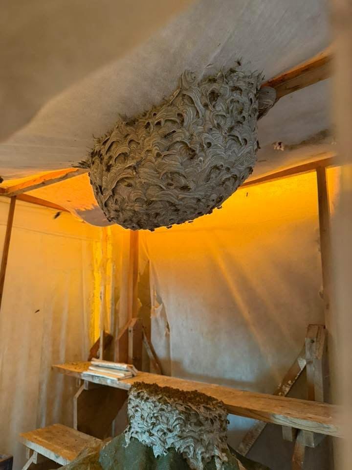 CMFG17 — intervention