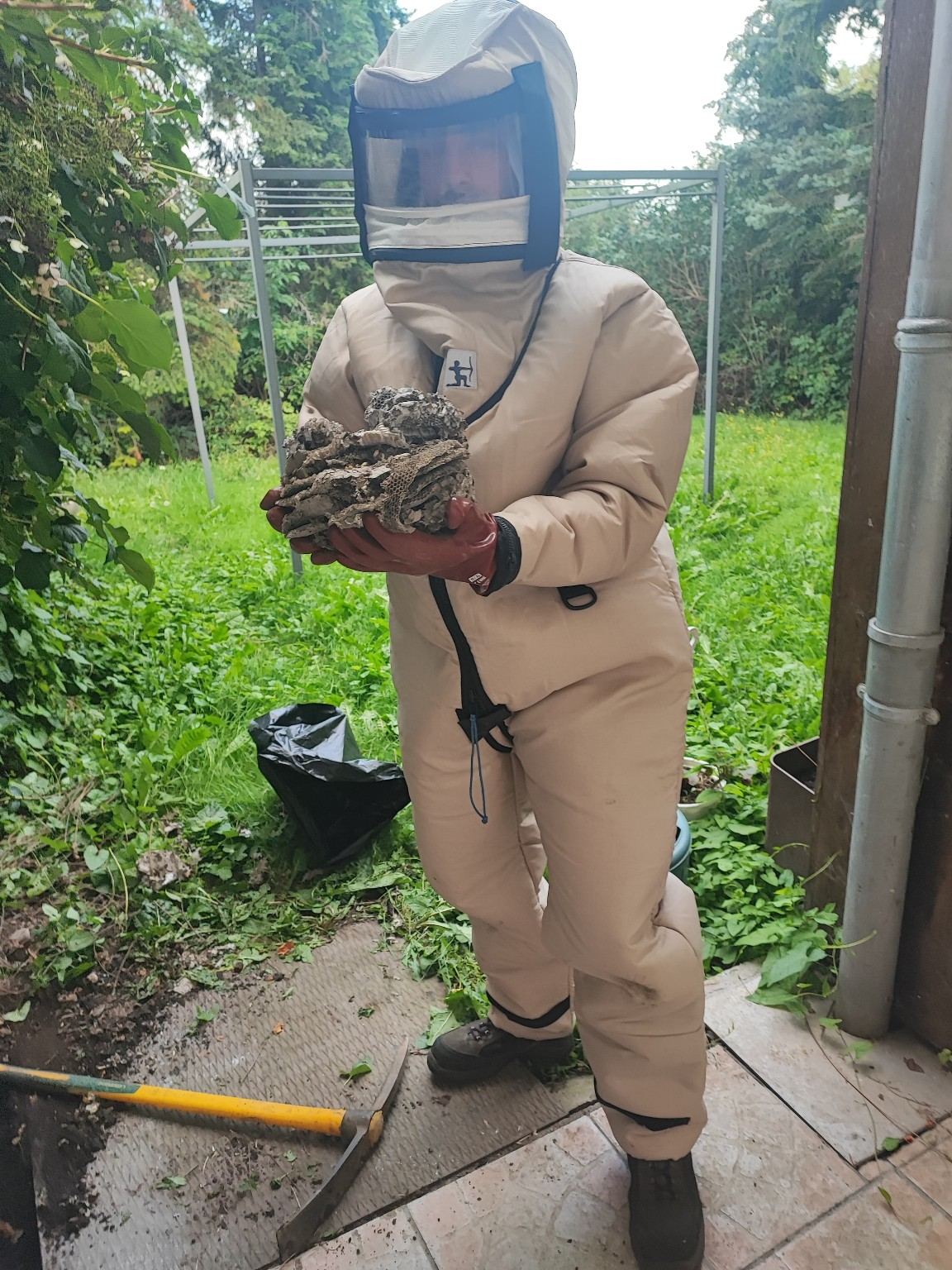 CERTI4D — intervention