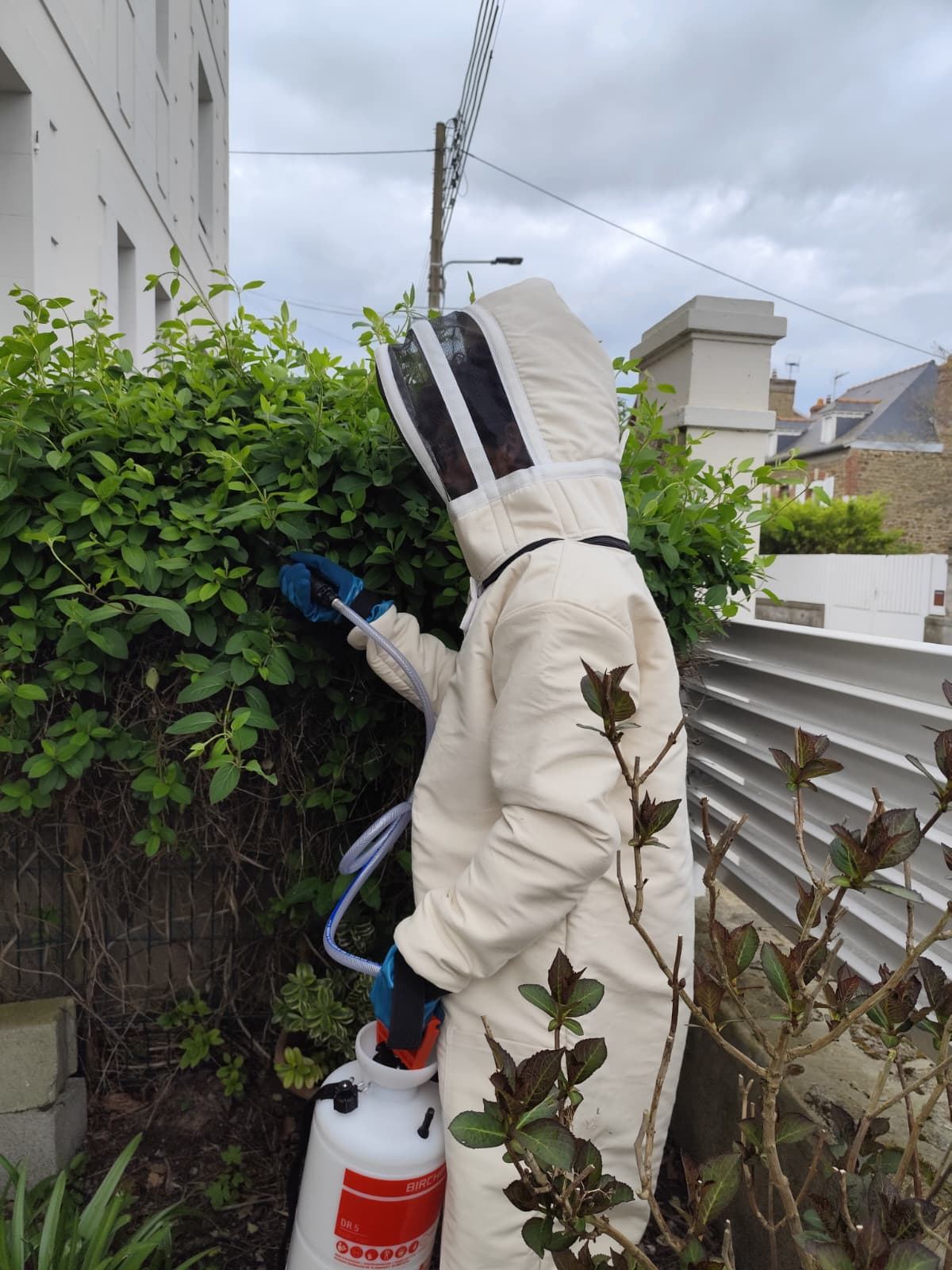 Rance Nuisibles Régulation — intervention