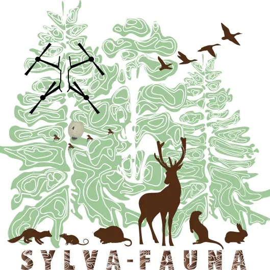 SYLVA FAUNA