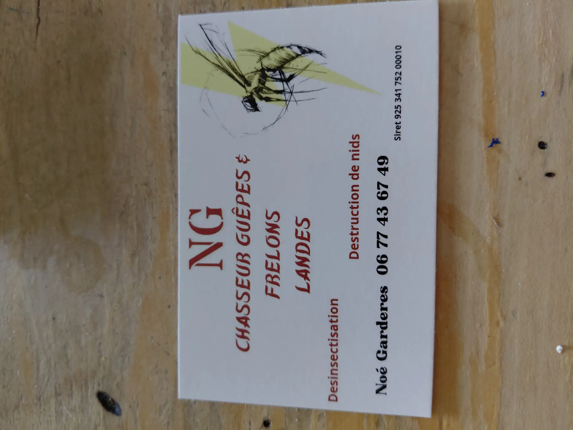 NG Chasseur Guêpes et Frelons Landes