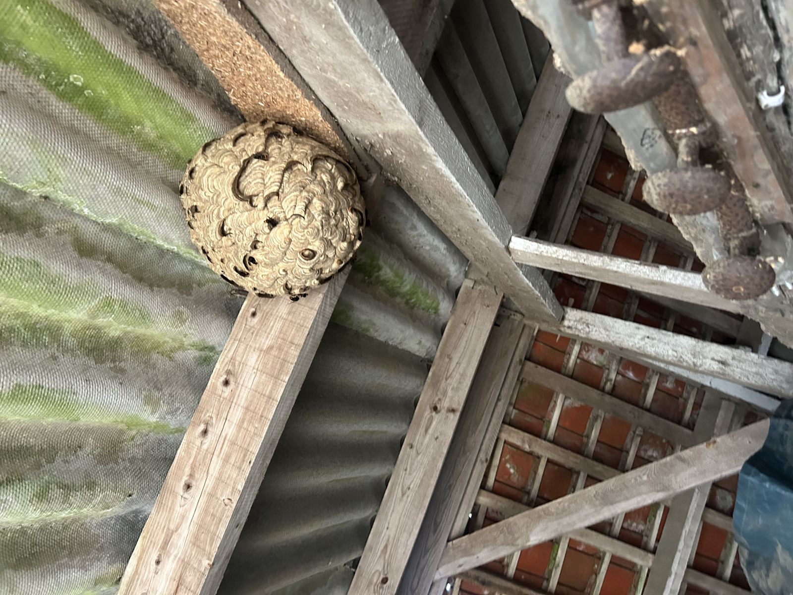 Destrucbusigny — intervention