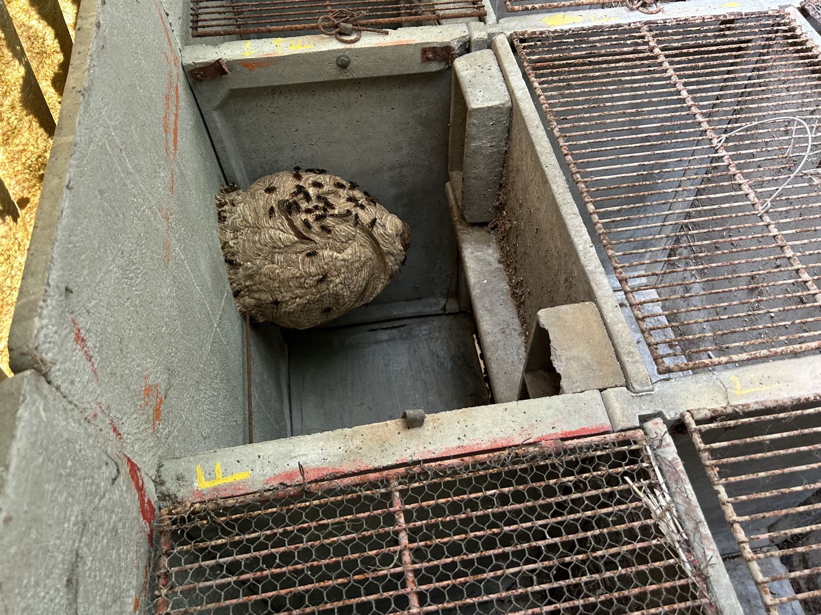 Destrucbusigny — intervention