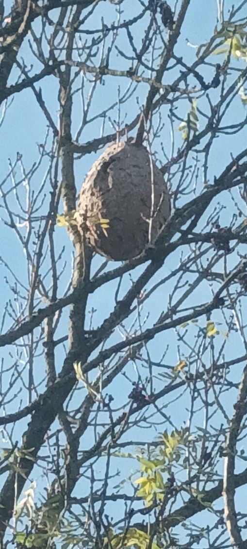 Destrucbusigny — intervention