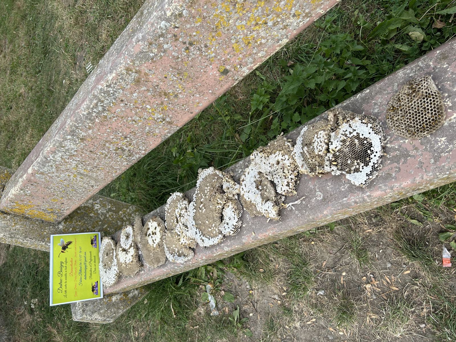 Destrucbusigny — intervention