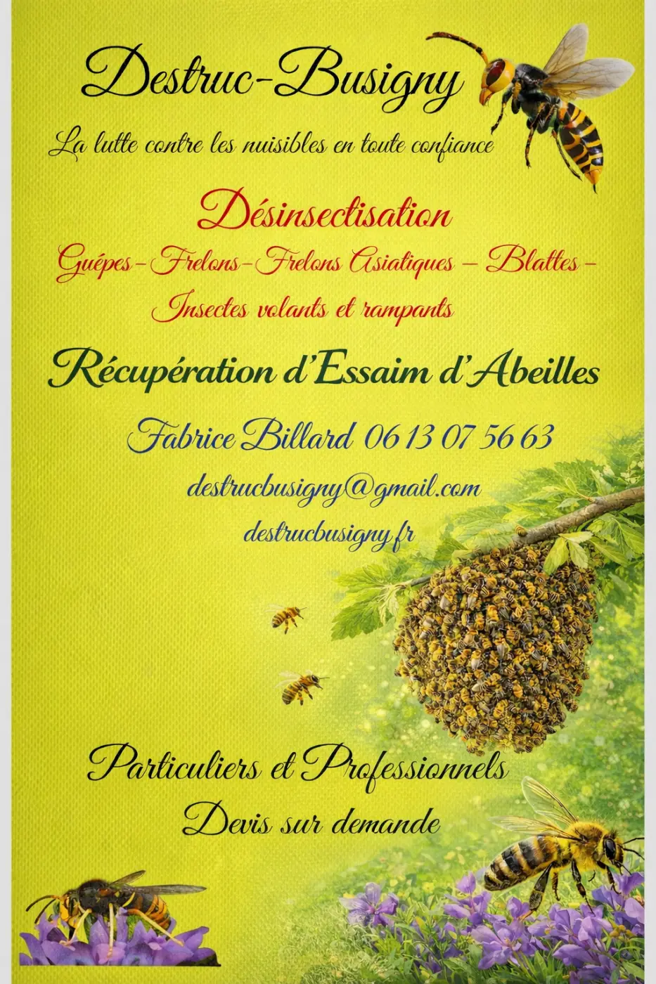 Destrucbusigny