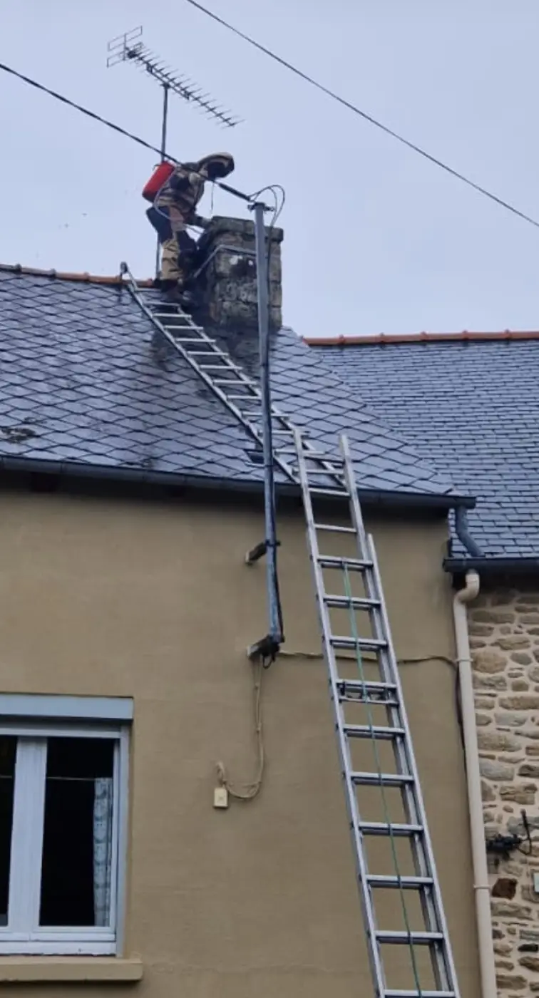 DDS Dératisation Désinsectisation Services