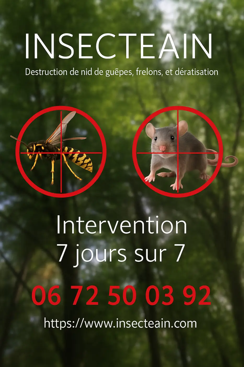 insecteain