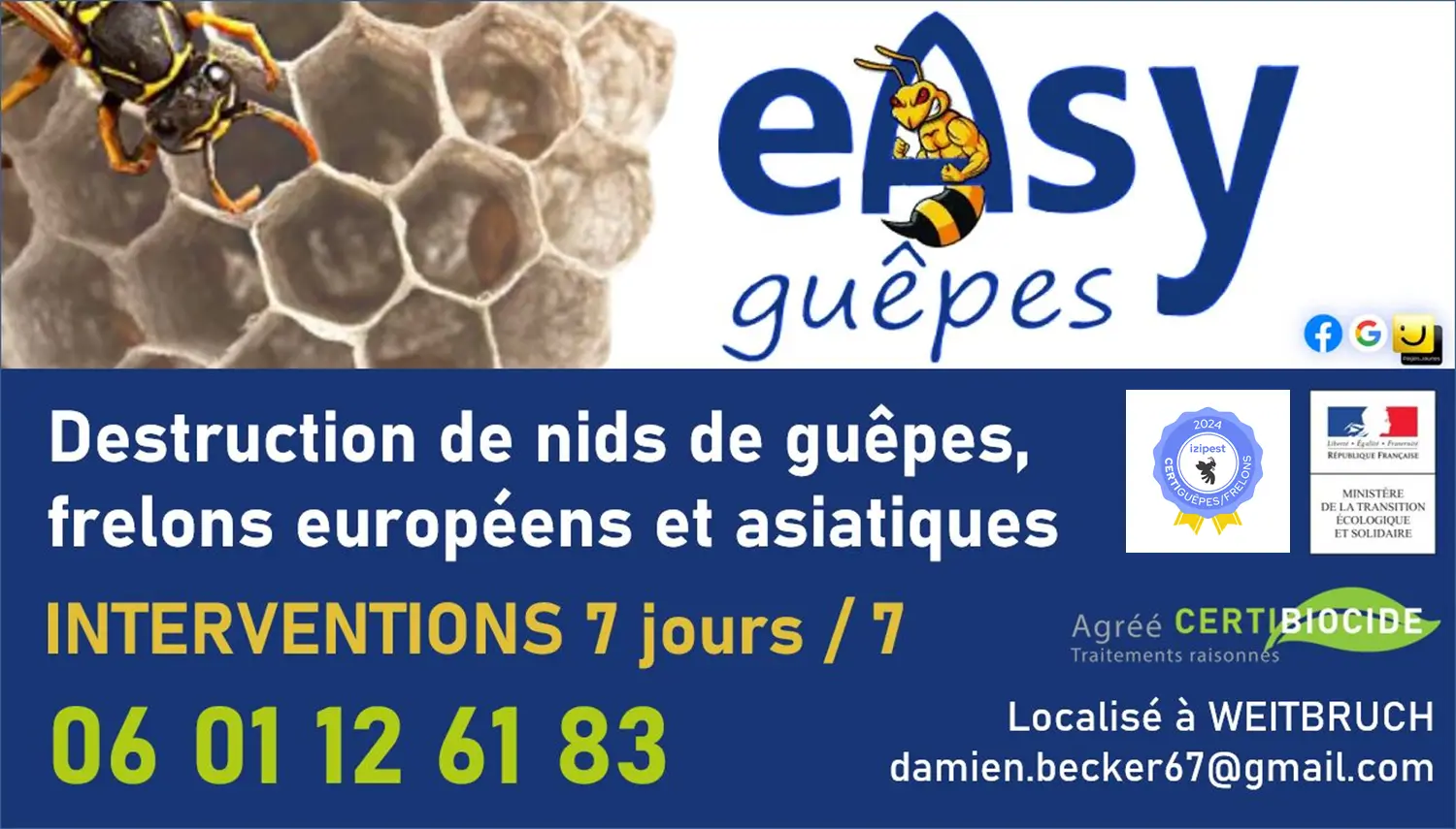 Easy guêpes