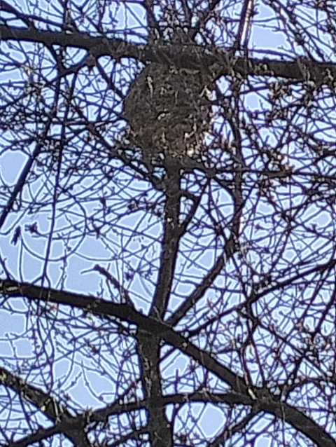 Signalement à Guizancourt