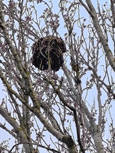 Signalement à Buxerolles