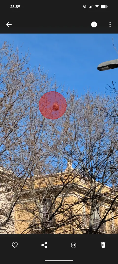 Signalement à Perpignan