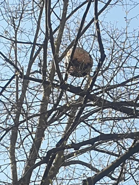 Signalement à Strasbourg